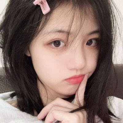 狗狗监护权