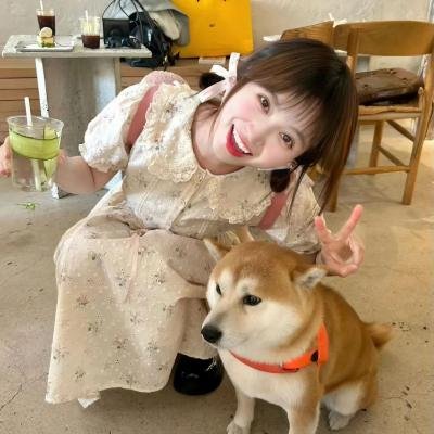 茶花彝女